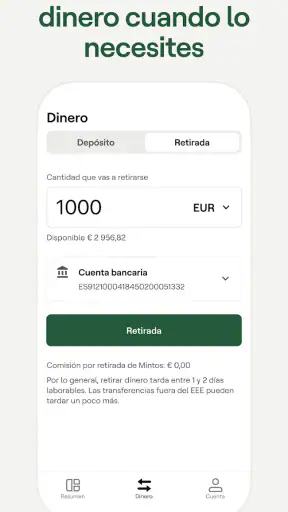 Mintos screenshot 5
