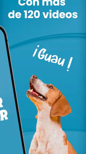 Mister Cooper – Dog Trainer screenshot 6