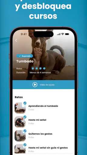 Mister Cooper – Dog Trainer screenshot 7