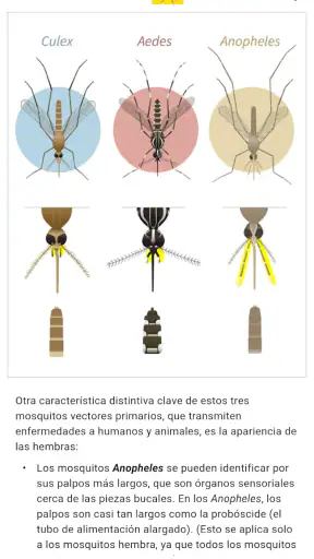 Mosquito Alert screenshot 3