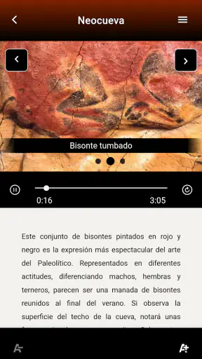 Museo de Altamira screenshot 6