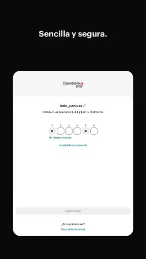Openbank Pay screenshot 6