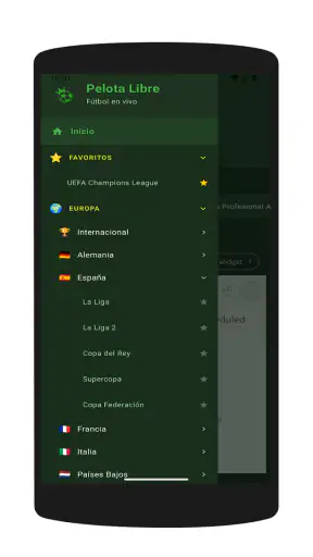 Pelota Libre screenshot 9