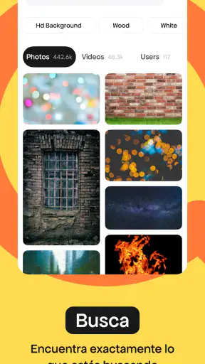Pexels screenshot 3