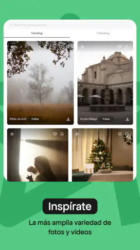 Pexels screenshot 7