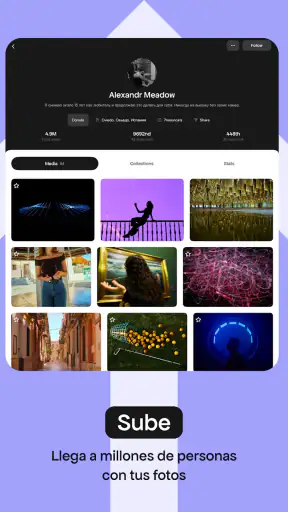 Pexels screenshot 9