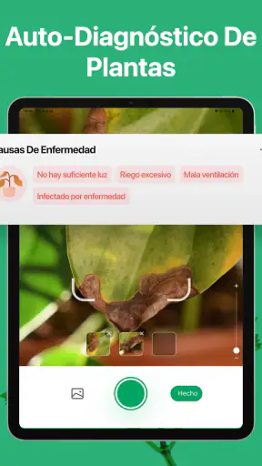 PictureThis Identificar Planta screenshot 12