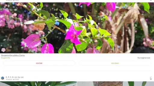 PlantNet Identifica Plantas screenshot 12
