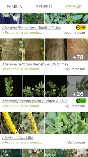 PlantNet Identifica Plantas screenshot 3