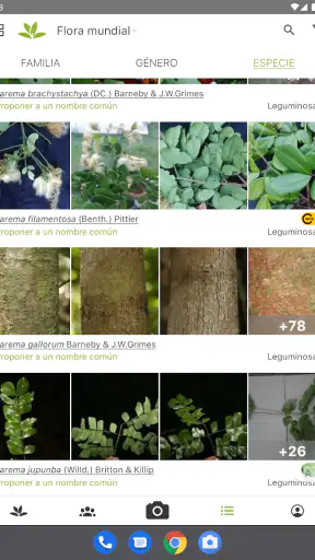 PlantNet Identifica Plantas screenshot 7