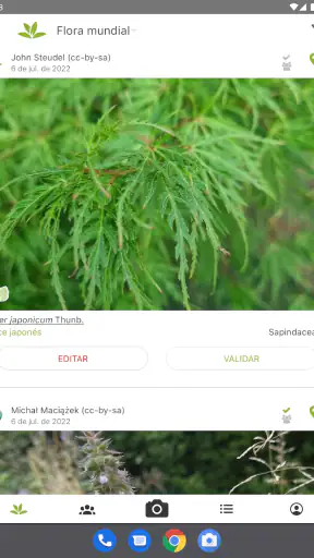PlantNet Identifica Plantas screenshot 8