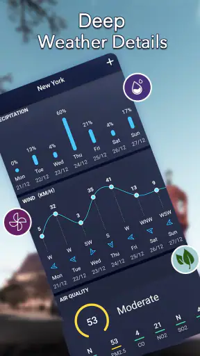 Previsión meteorológica local screenshot 2