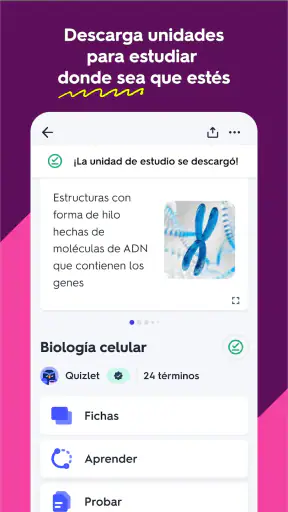 Quizlet: fichas creadas con IA screenshot 4