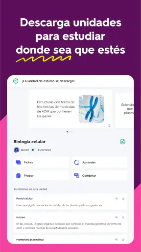 Quizlet: fichas creadas con IA screenshot 9
