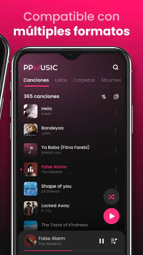 Reproductor de Música Offline screenshot 2