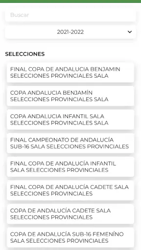RFAF screenshot 2