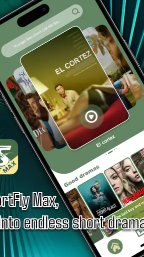 ShortFly Max screenshot 12