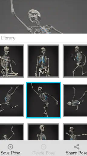 Skelly: Poseable Anatomy Model screenshot 10