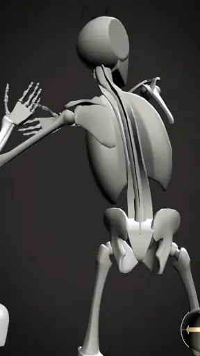 Skelly: Poseable Anatomy Model screenshot 11