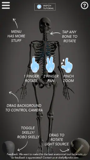 Skelly: Poseable Anatomy Model screenshot 2