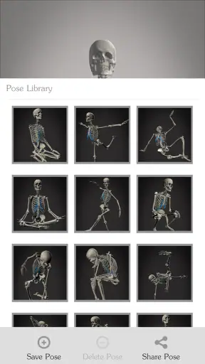 Skelly: Poseable Anatomy Model screenshot 4