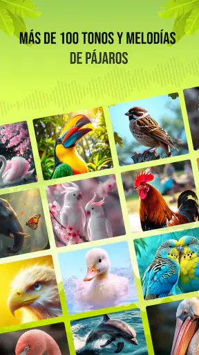 Sonidos de pájaros screenshot 3