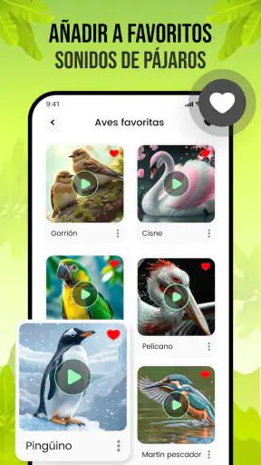 Sonidos de pájaros screenshot 4