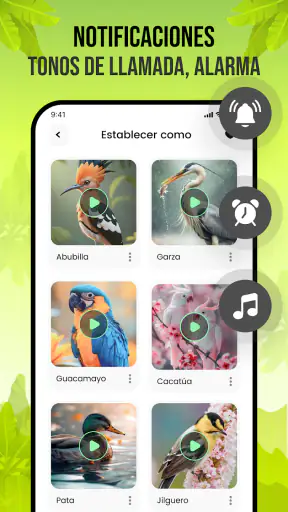 Sonidos de pájaros screenshot 5