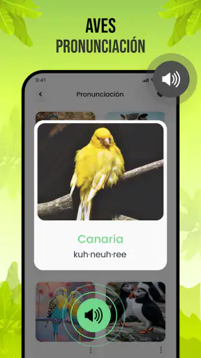 Sonidos de pájaros screenshot 7