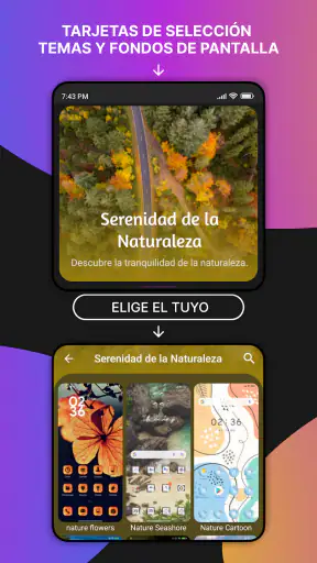 Temas screenshot 7