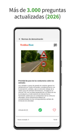 Test de conducir - TraficoTest screenshot 2