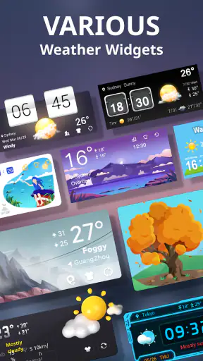 Tiempo en vivo screenshot 7