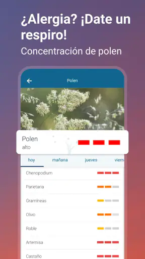 Tiempo & Radar: tu previsión screenshot
