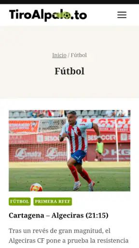 Tiro Al Palo screenshot 4
