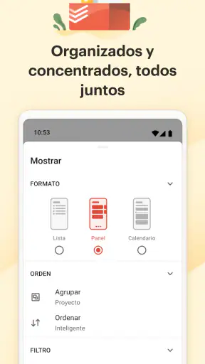 Todoist: To do list—Calendario screenshot 5