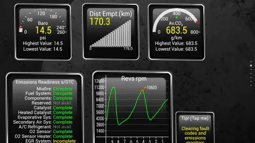 Torque Pro (OBD2 / coche) screenshot 10