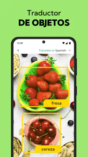 Traductor de Voz & por Foto screenshot 4