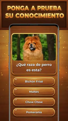 Trivia Madera: Trivia Blocks screenshot 2