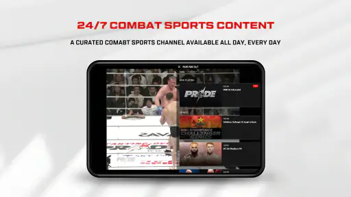 UFC screenshot 9