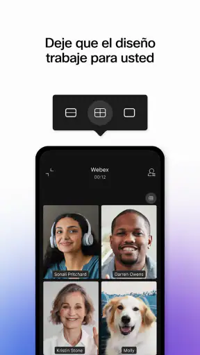 Webex screenshot 6