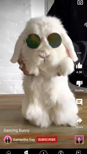 YouTube screenshot