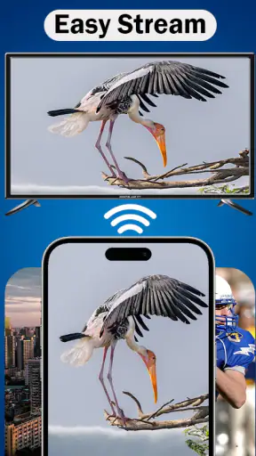 MirrorLink App for Car screenshot 3