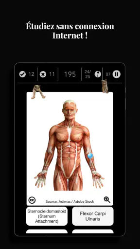 Anatomist - Le Jeu d'Anatomie screenshot 10