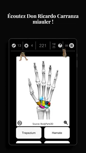 Anatomist - Le Jeu d'Anatomie screenshot 11