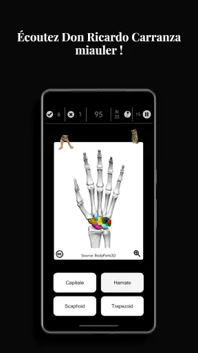 Anatomist - Le Jeu d'Anatomie screenshot 4