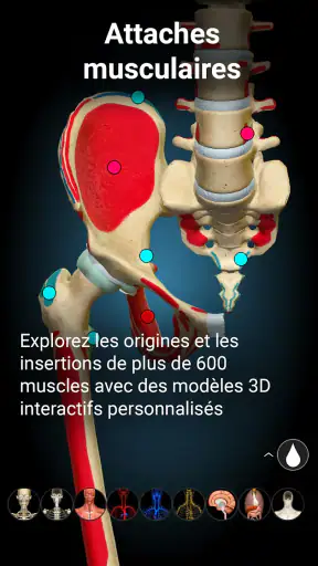 Anatomy Learning - Anatomie 3D screenshot 4
