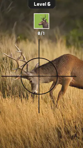 Animal Hunter: Jeux de Chasse screenshot 9