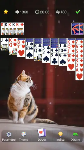 Araignée Solitaire screenshot 10