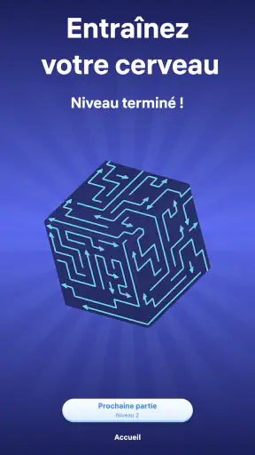 Arrow Puzzle 3D: Jeu de flèche screenshot 10