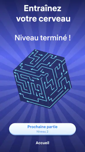 Arrow Puzzle 3D: Jeu de flèche screenshot 5